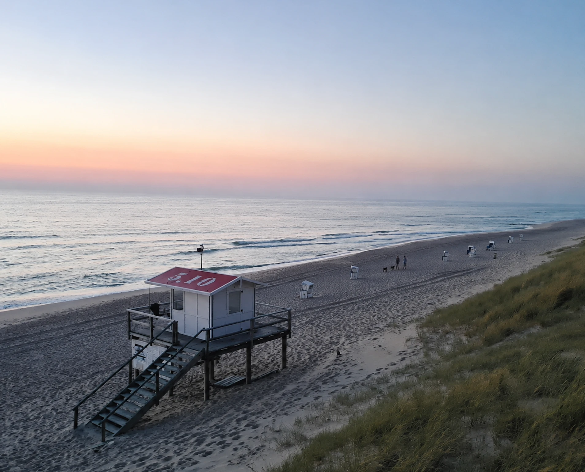 Die 5 schönsten Hundestrände auf Sylt in 2026