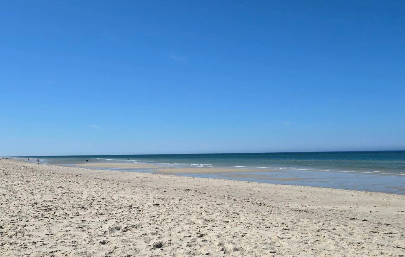 Hundestrand Samoa auf Sylt