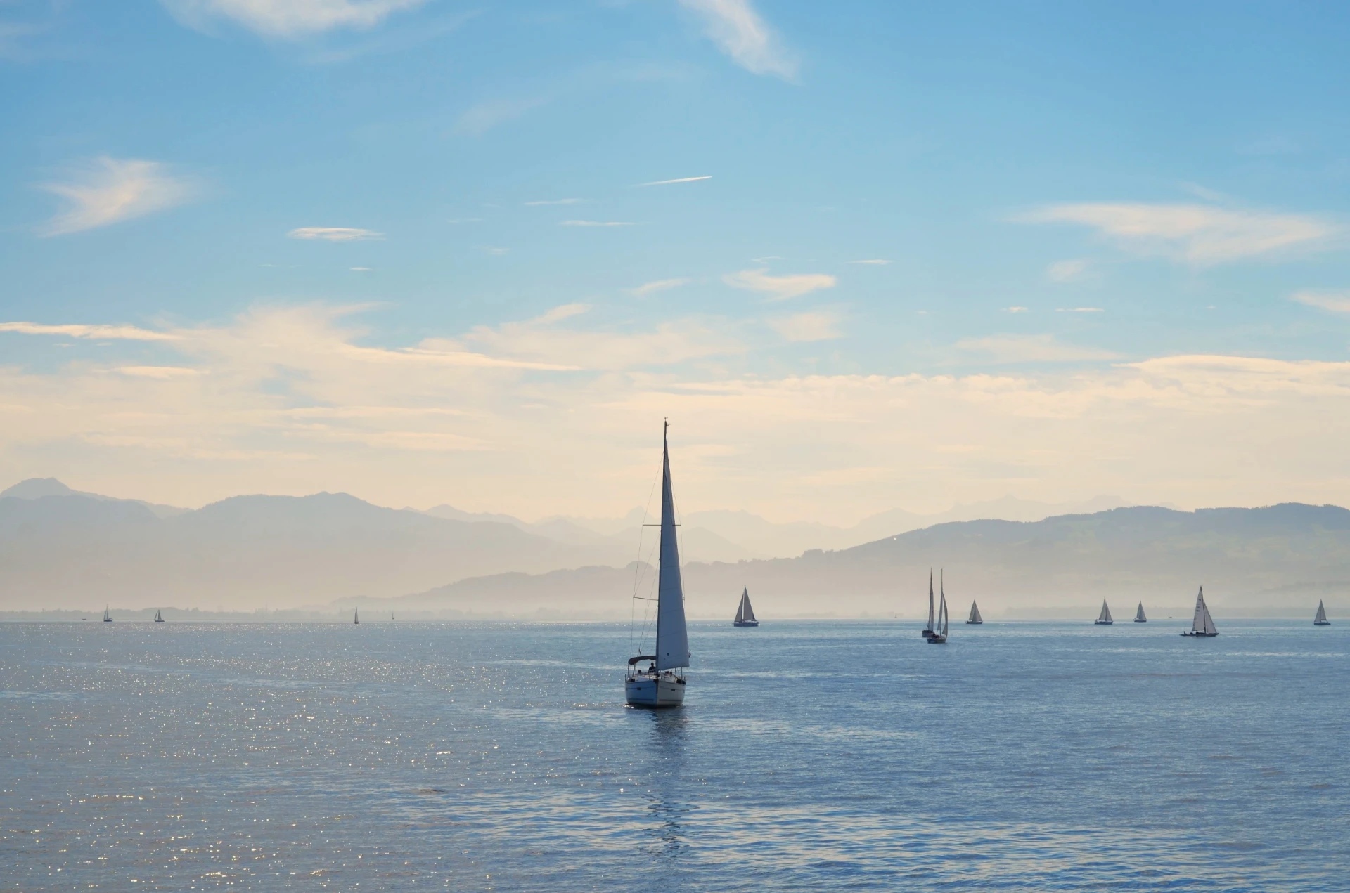 Bodensee mit Hund