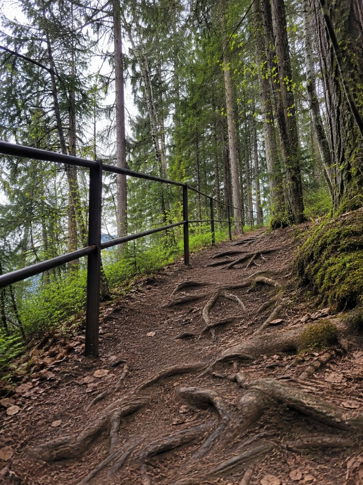 Weg zum Geratser Wasserfall