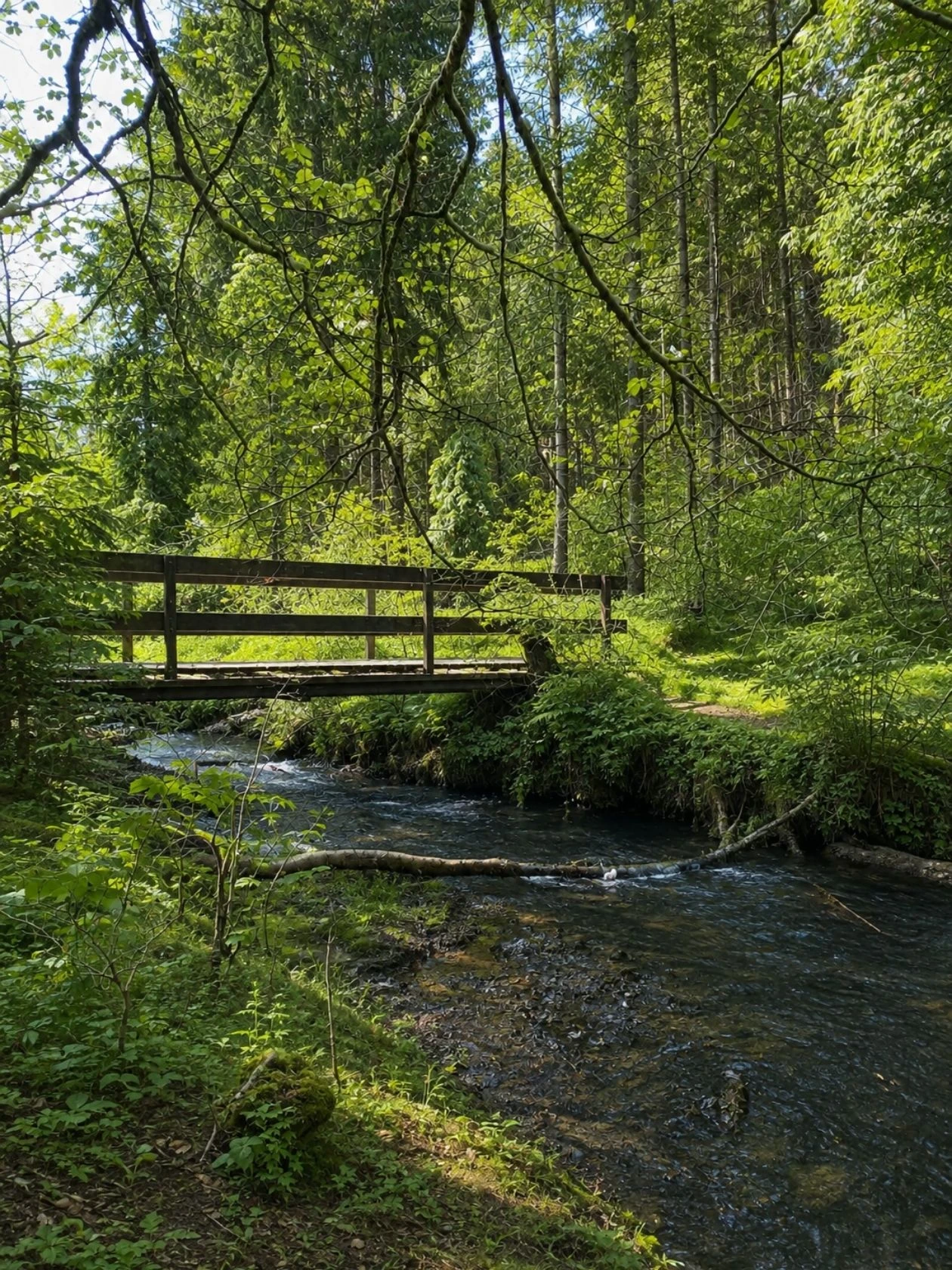Brück bei Geratser Wasserfall