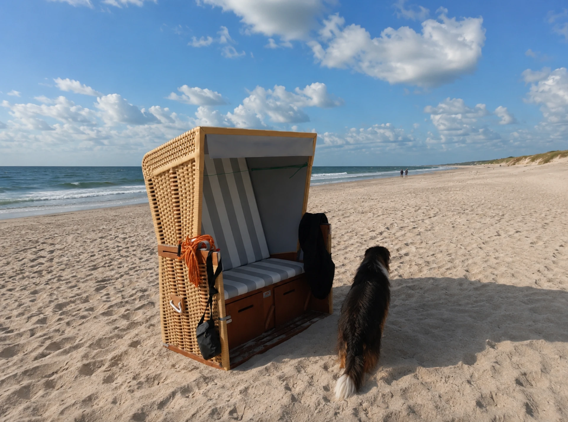 Lohnt sich Sylt mit Hund? Meine ehrliche Bewertung 2026