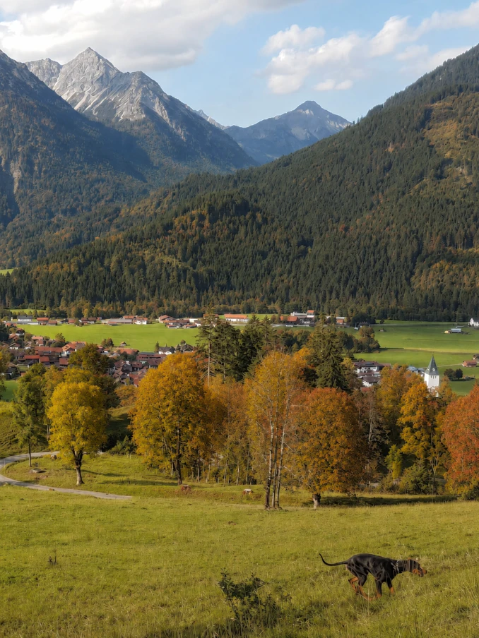 Herbst im Ostrachtal