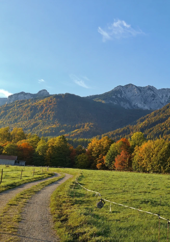 Allgäu im Herbst