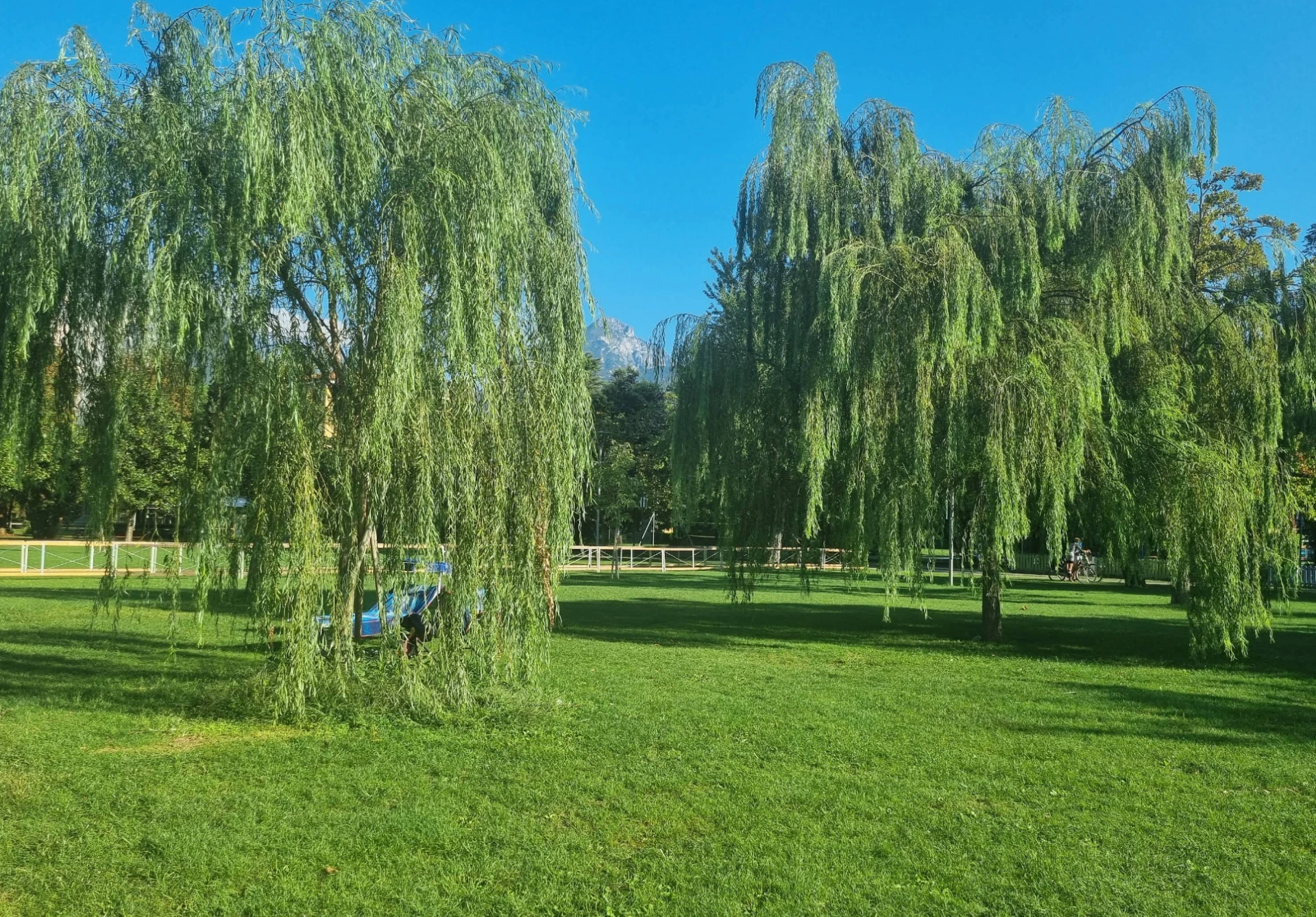 Area Cani San Nicolò