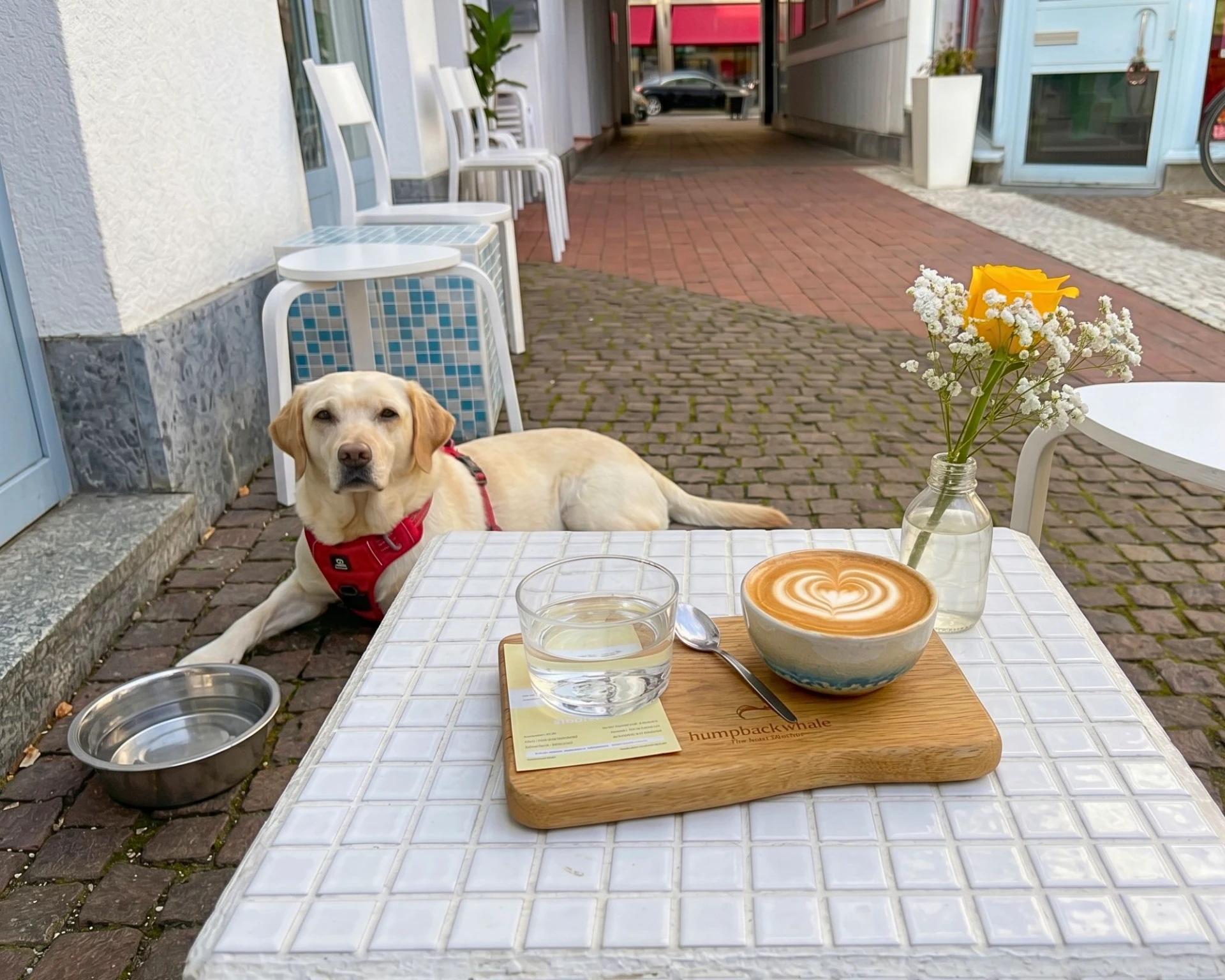 Hund in einem Cafe in München