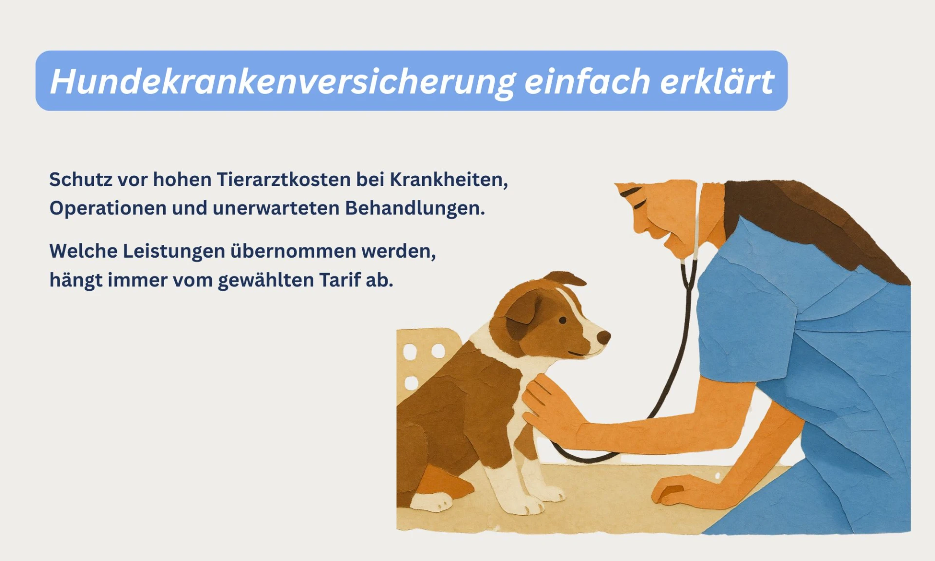 Hundekrankenversicherung einfach erklärt
