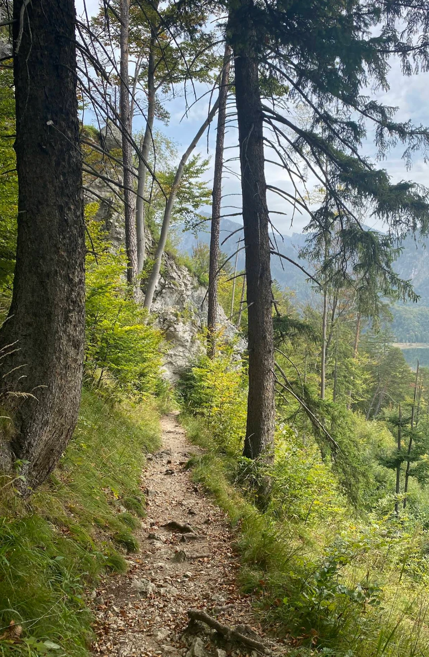 Ausblick auf Füssen und Lechtal