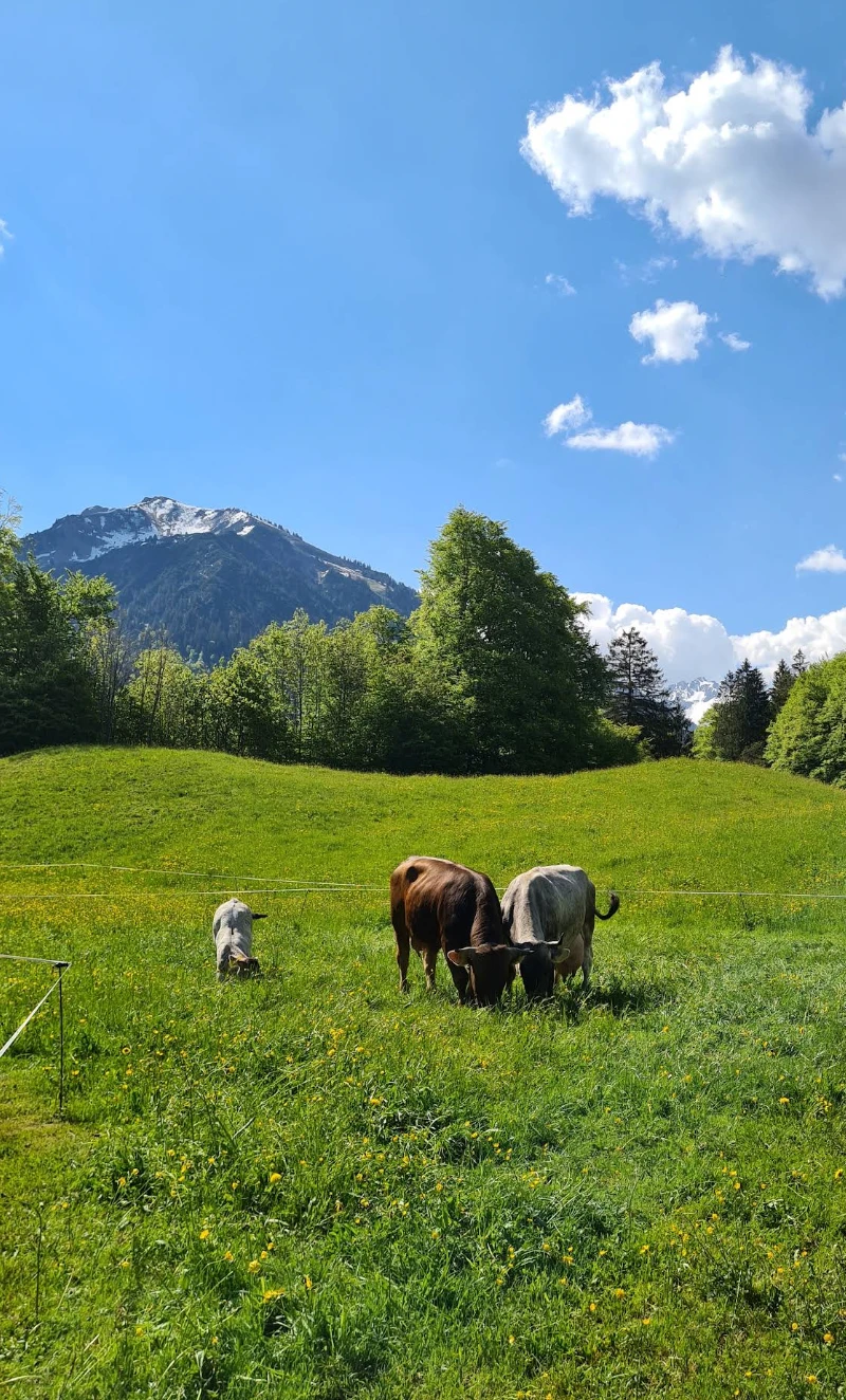 Trettach zum Christlessee
