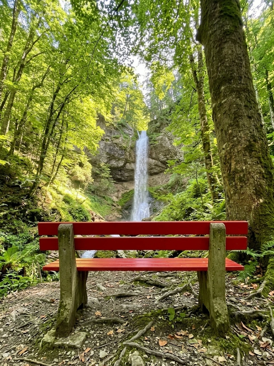 Hasenreuter Wasserfall bei Scheidegg