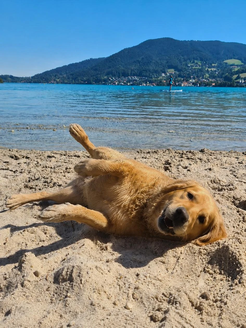 Hundestrand am Achensee
