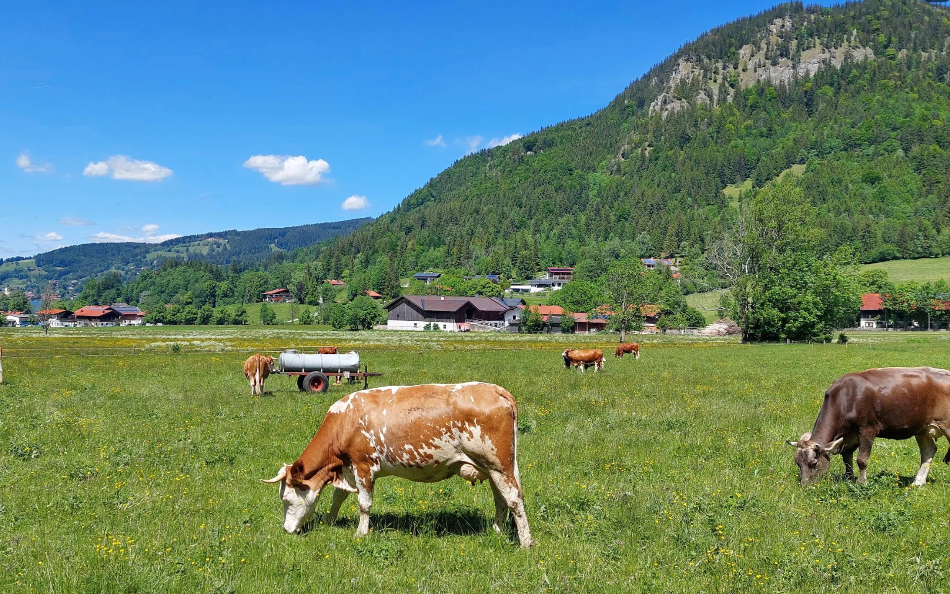 Rundwanderweg Schliersee