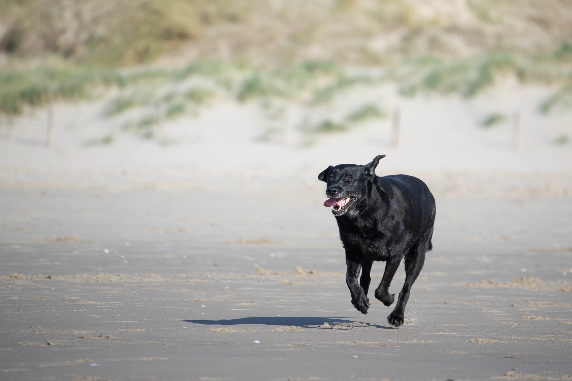 nordsee