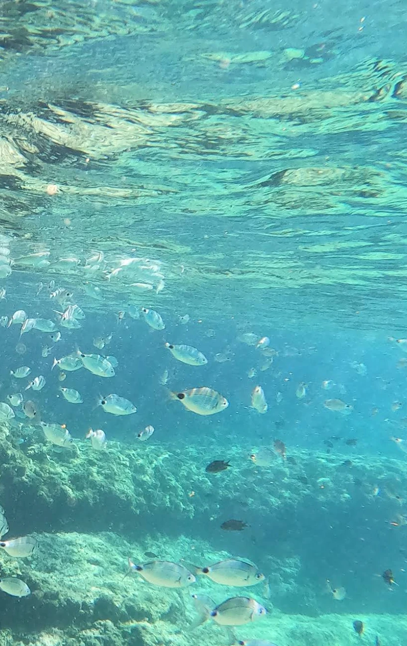 Kroatien Strand