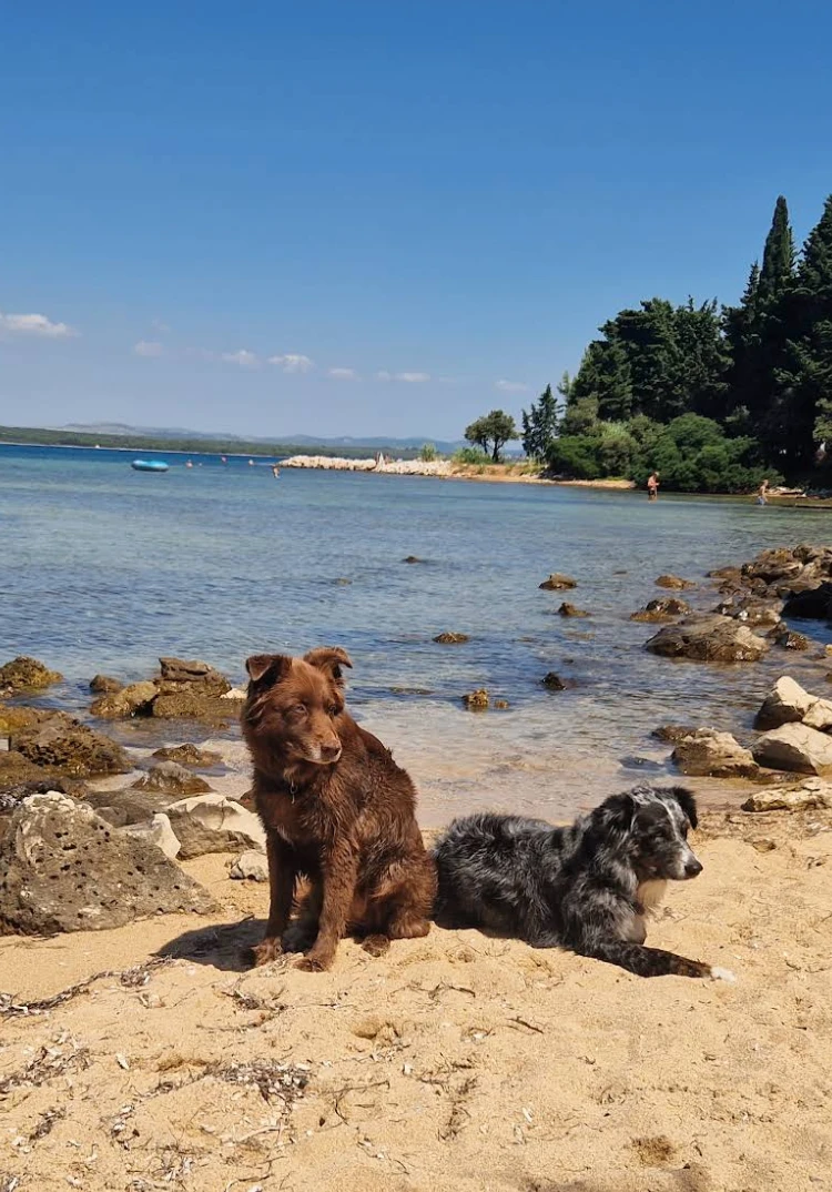 Hundestrand Zadar Kroatien