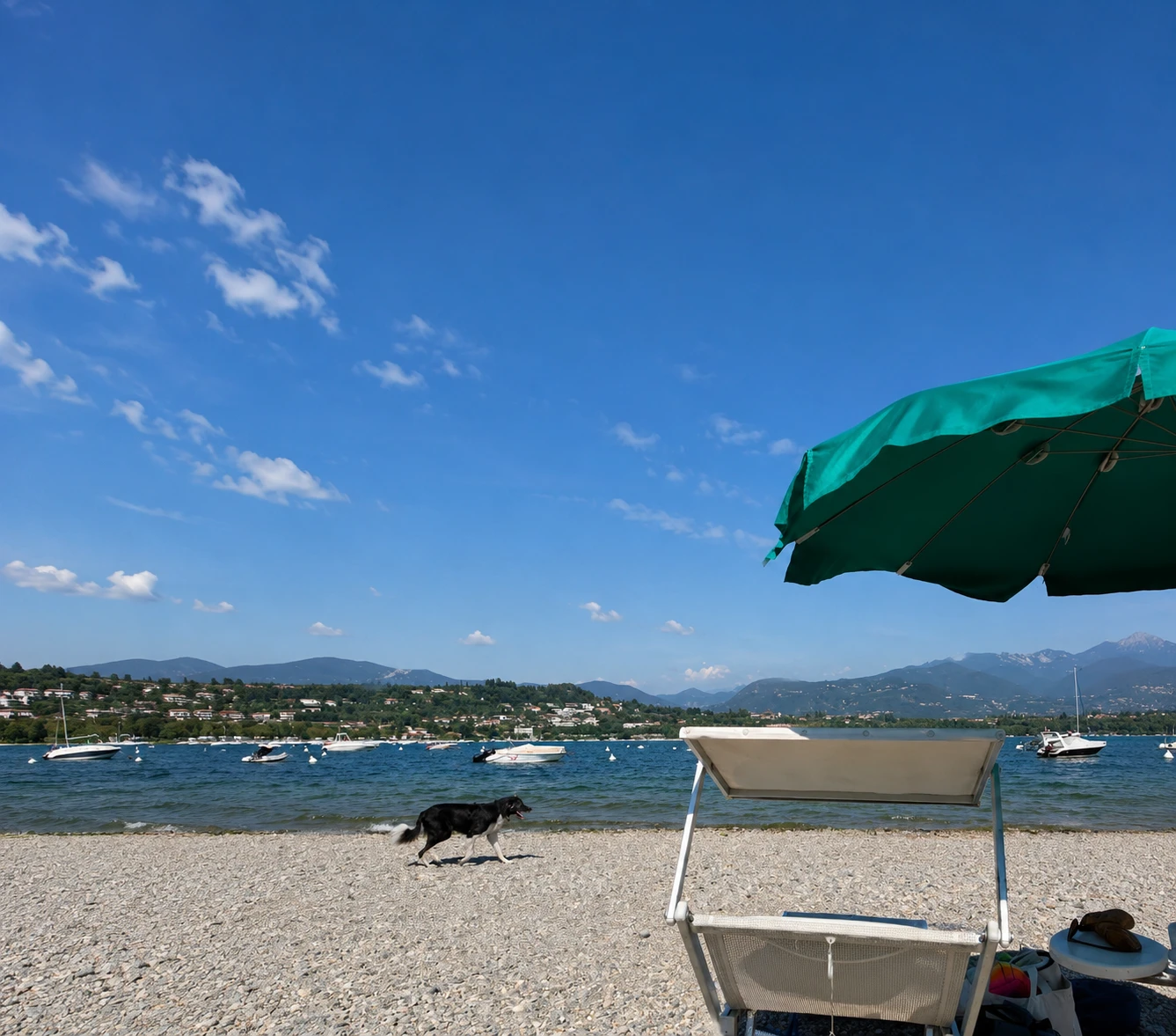 Fido Beach Spiaggia per Cani