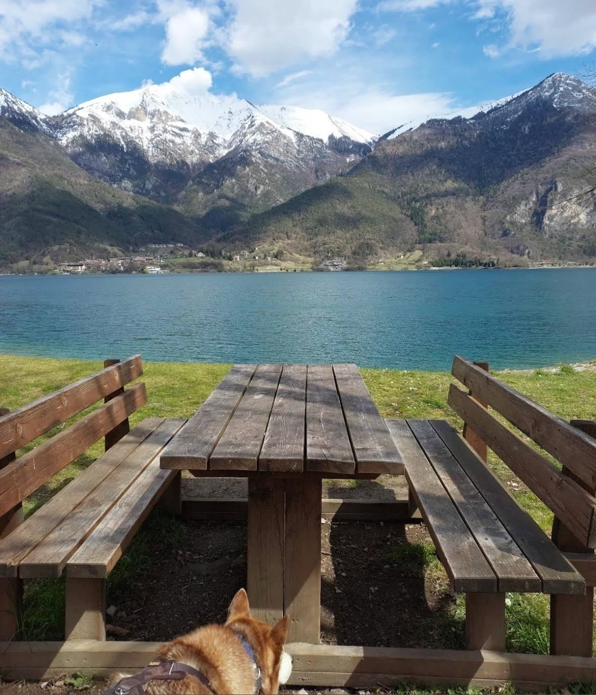 Ledrosee mit Hund