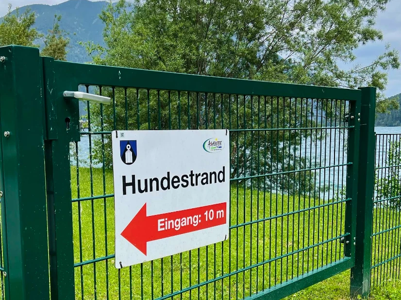 Schild zum Hundestrand am Achensee