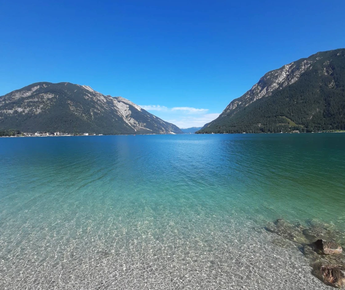 Hund am Achensee