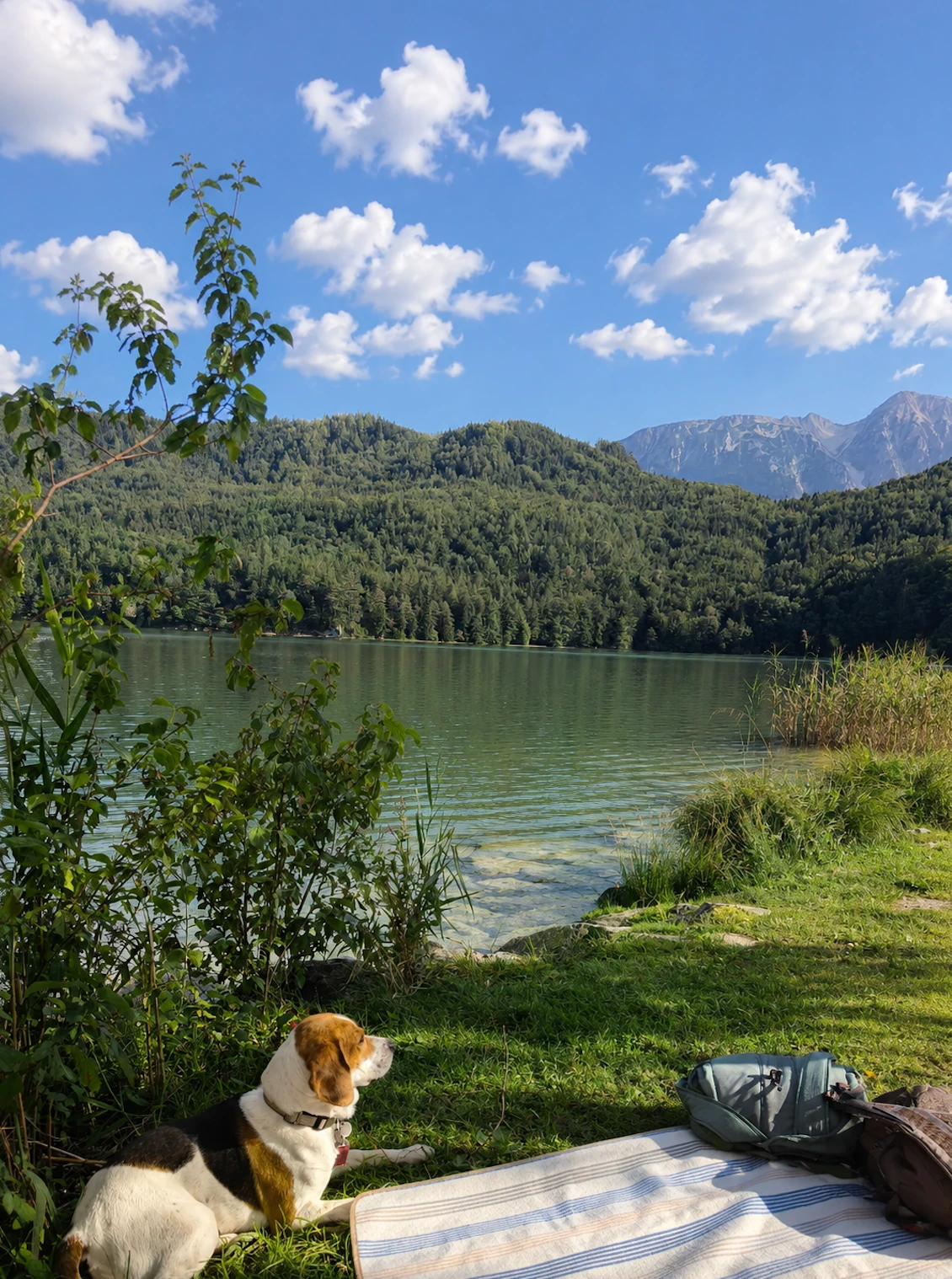 Weißensee bei Füssen 