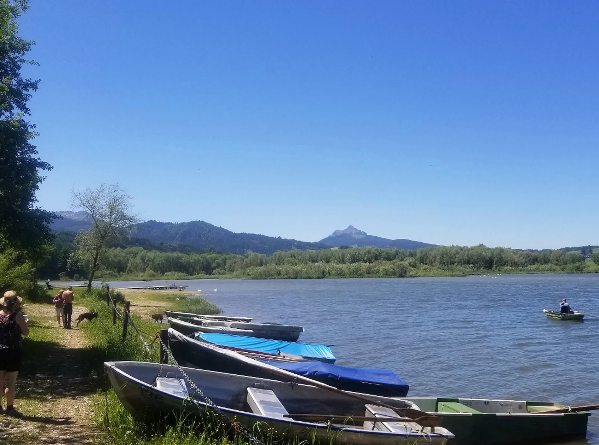 Grüntensee mit Hund