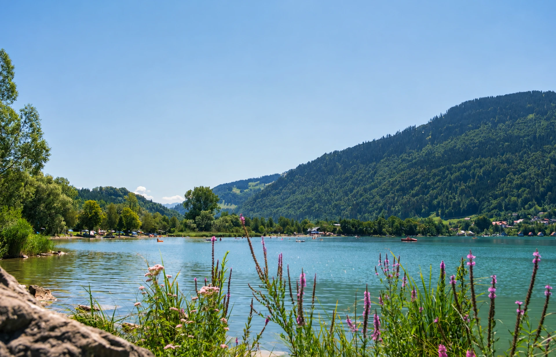 Großer Alpsee mit Hund