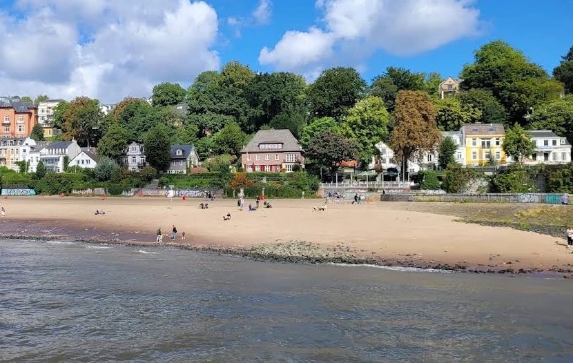 Elbstrand mit Hund