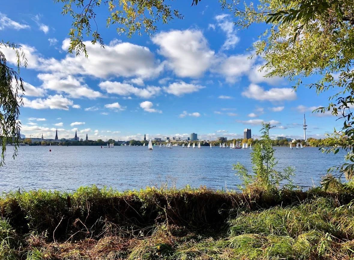 Außenalster Hamburg mit Hund