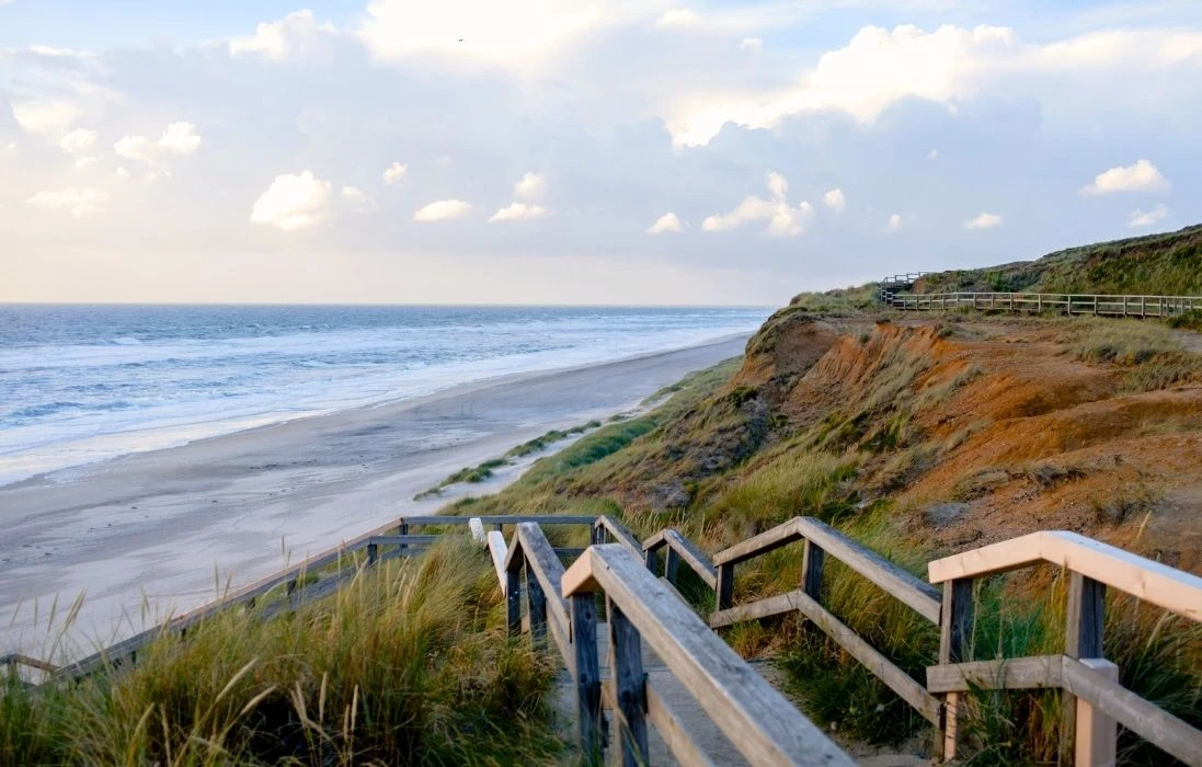 Die 3 besten Wanderungen auf Sylt mit Hund: Meine liebsten Routen in 2026
