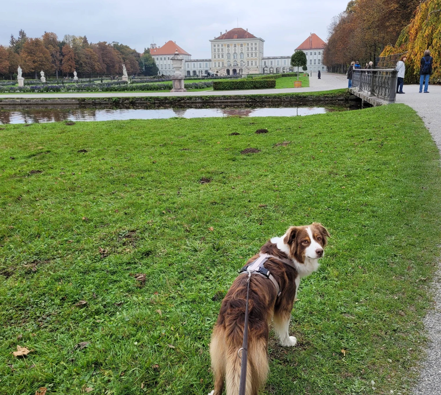 Schlosspark Nymphenburg München mit Hund