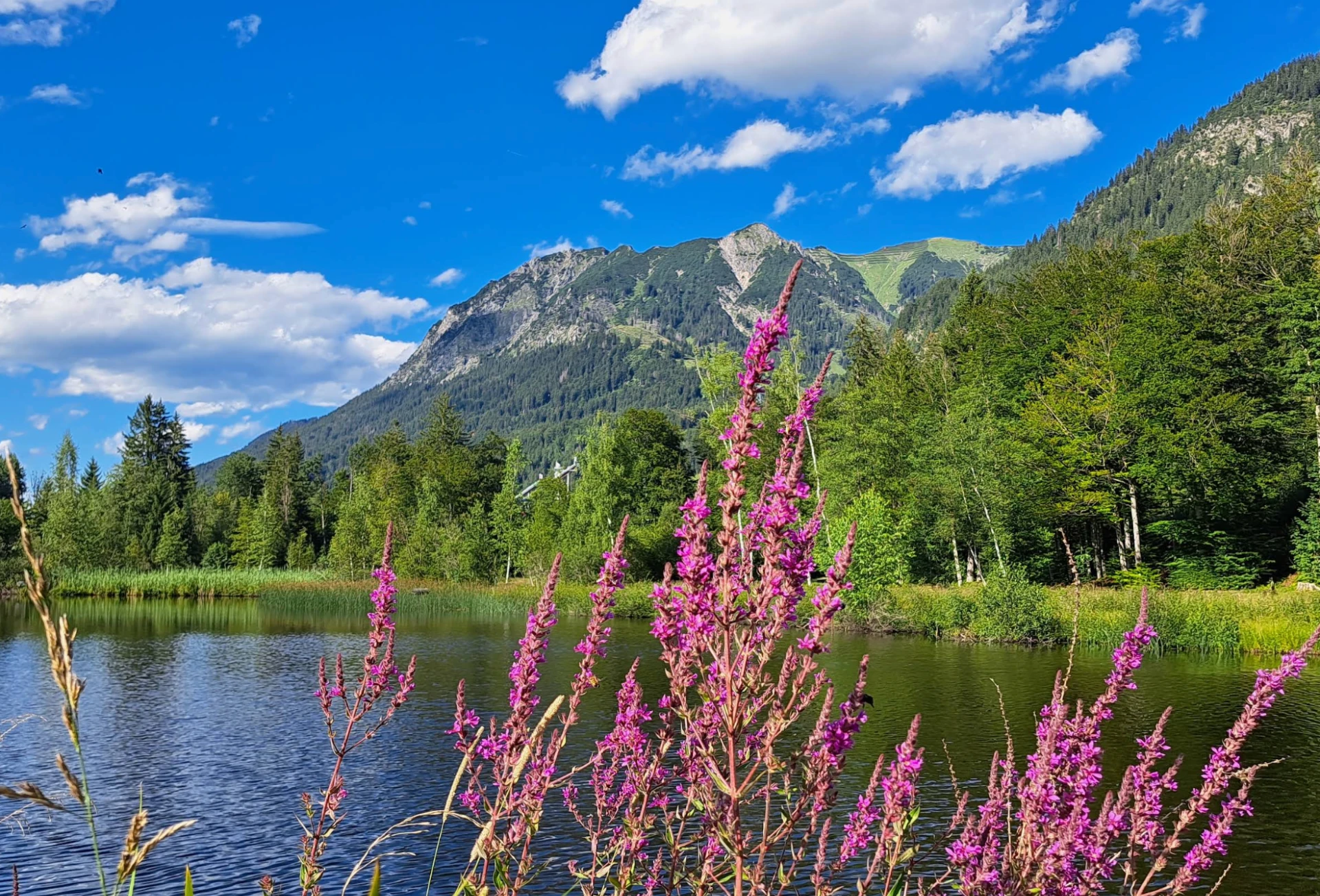 Moorweiher im Allgäu