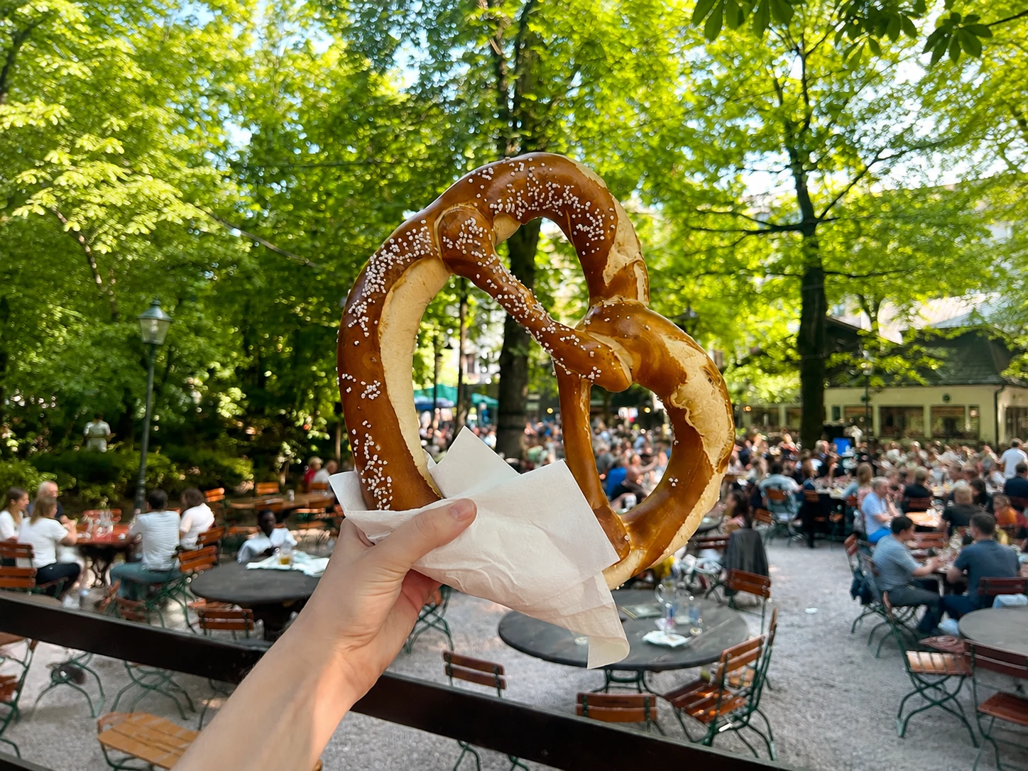 Wo übernachten in München mit Hund? Die besten Viertel & Hotels (2026)