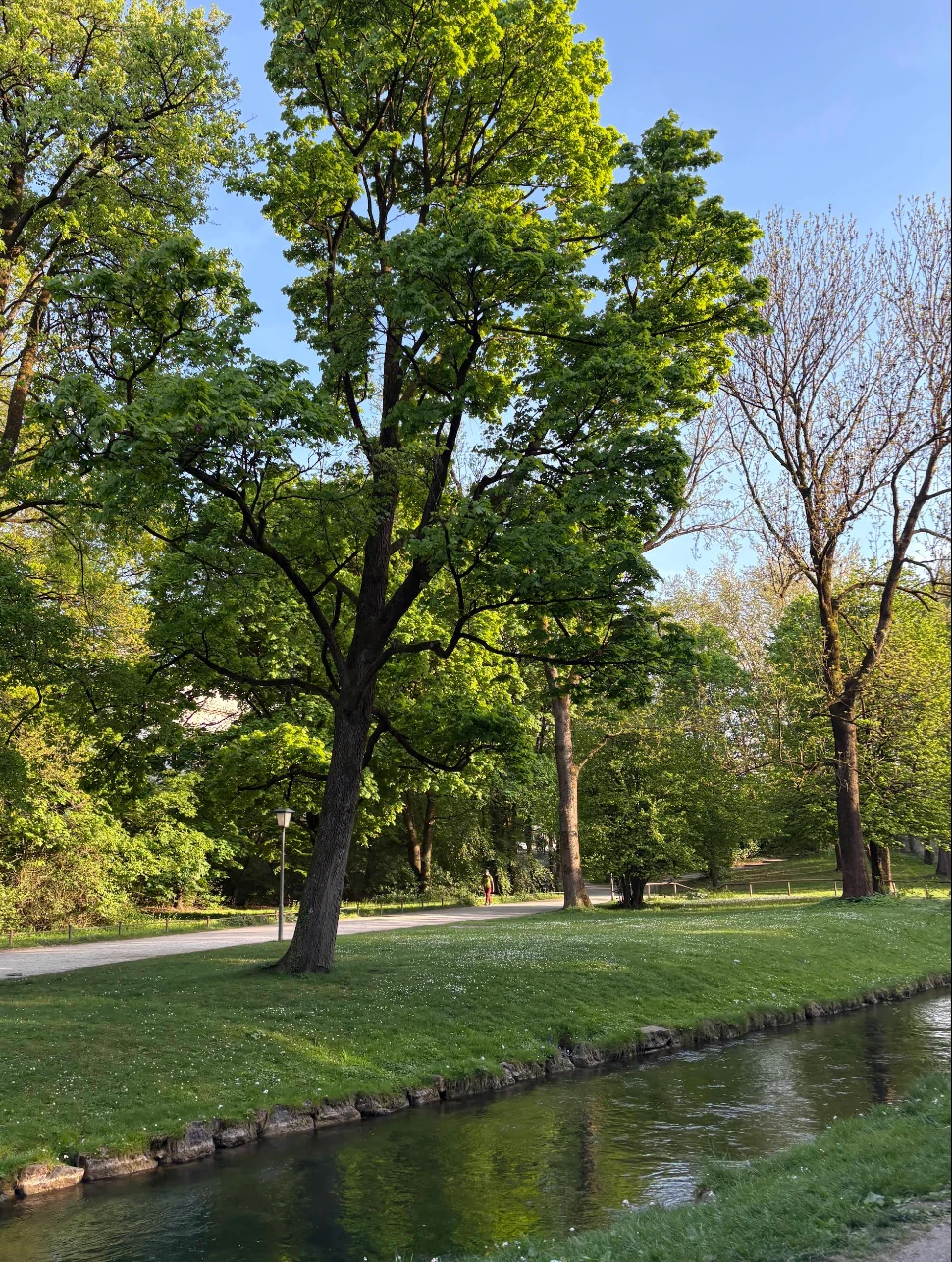 Hotel am Englischer Garten