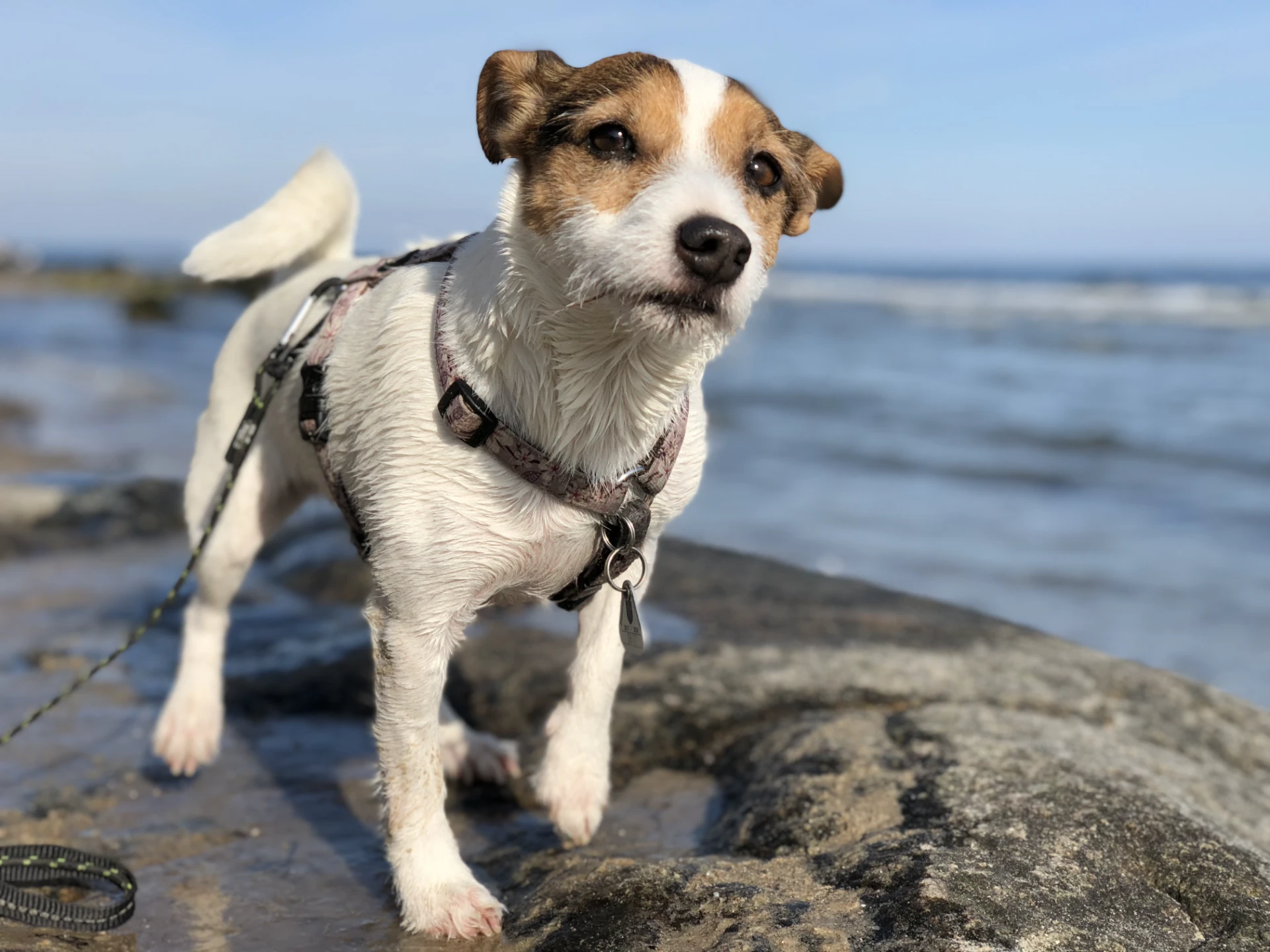 3 Nächte in Cuxhaven für 132€ p.P.