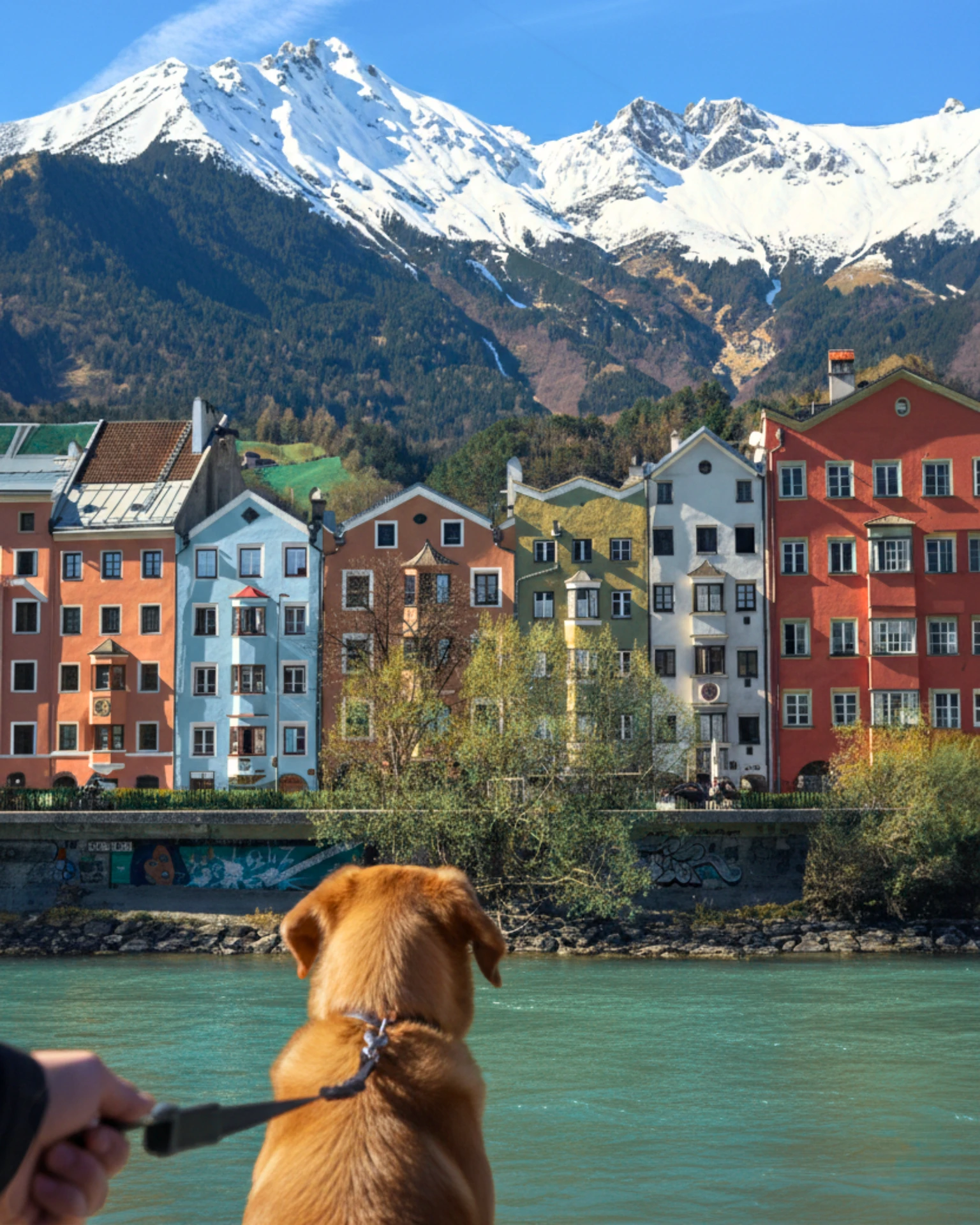 2 Tage City-Trip in Innsbruck mit Hund für 68 € 🏔️🐾
