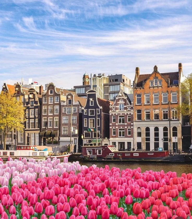 3 Nächte Boutique-Hotel nahe Amsterdam für 159€ p.P.