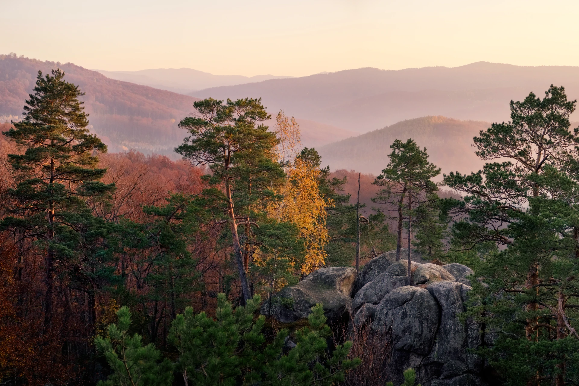 4 Tage im Harz inkl. Frühstück & Hund übernachtet kostenlos!
