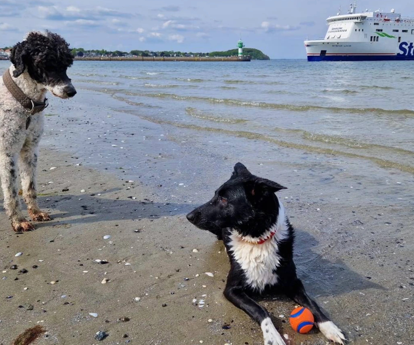 5 Tage Ostsee auf dem Priwall für 155 € p.P.