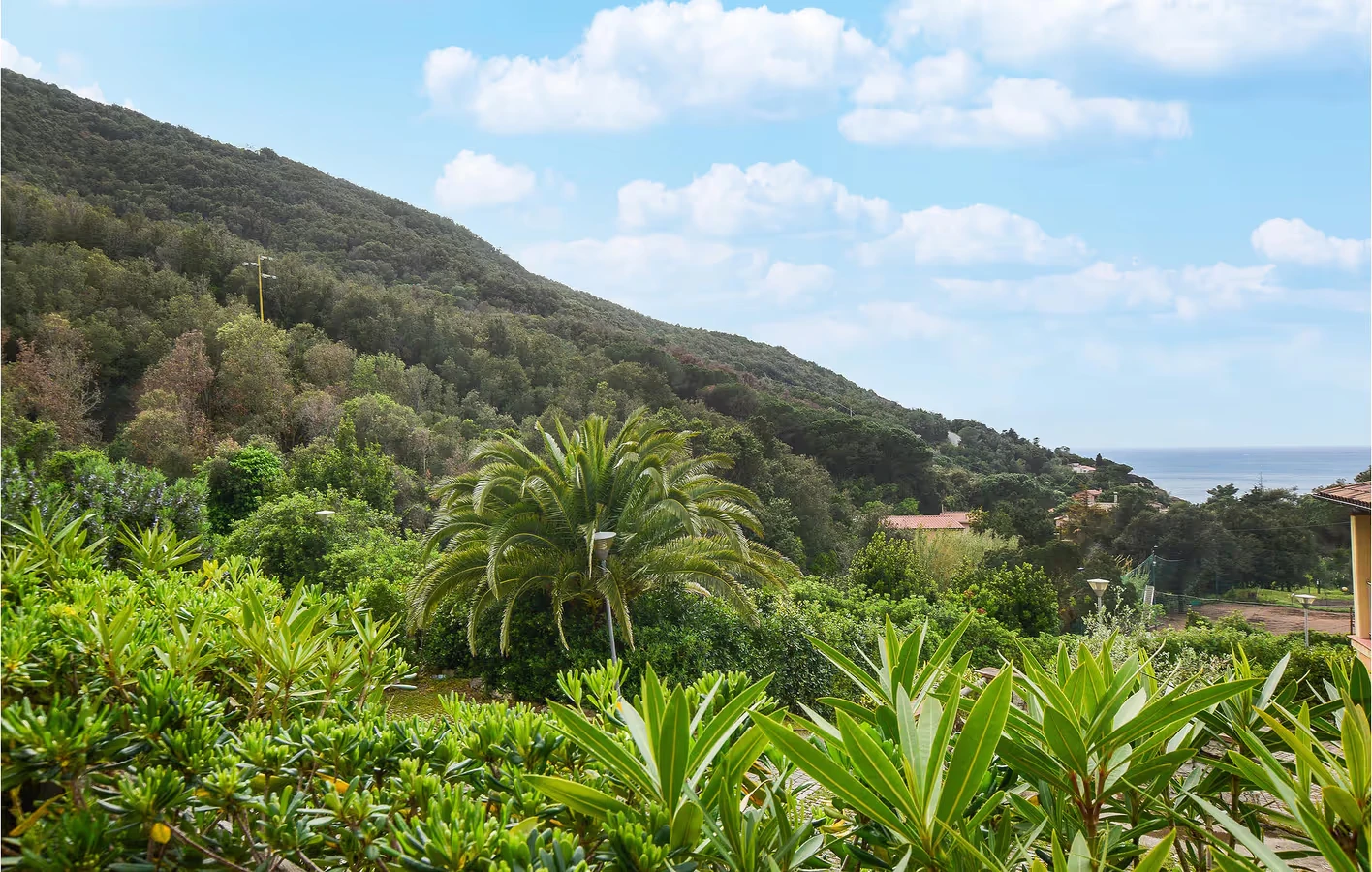 Ferienwohnung mit Pool und Meerblick in Nisportino auf Elba 5