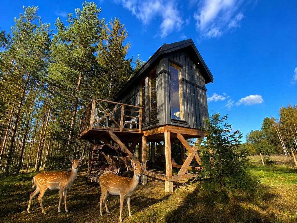 Viking Treehouse with Hot Tub, Sauna, Lake & Deer Park