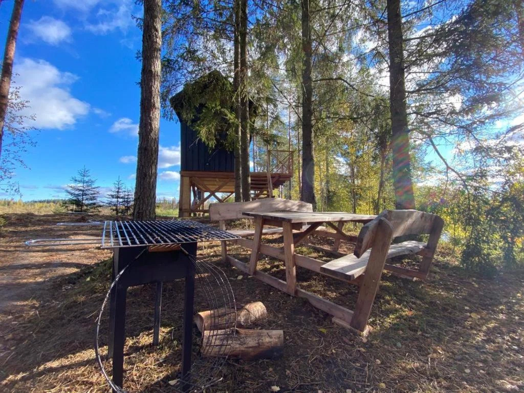 Viking Treehouse with Hot Tub, Sauna, Lake & Deer Park 4