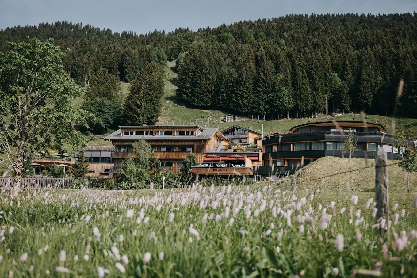 Hotel "Torghele’s Wald + Fluh" mit Wellness und Bergpanorama 2