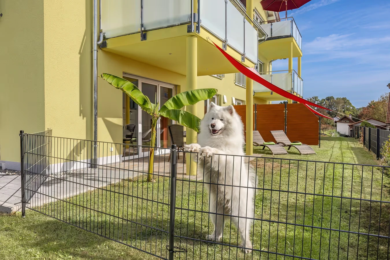 Ferienwohnung mit eingezäuntem Garten nahe Bodensee in Salem
