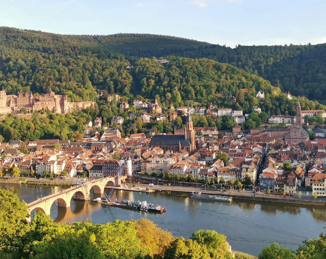 2 Nächte im Hilton in Heidelberg inkl. Frühstück ab 129 € p.P. 🏙️🐾