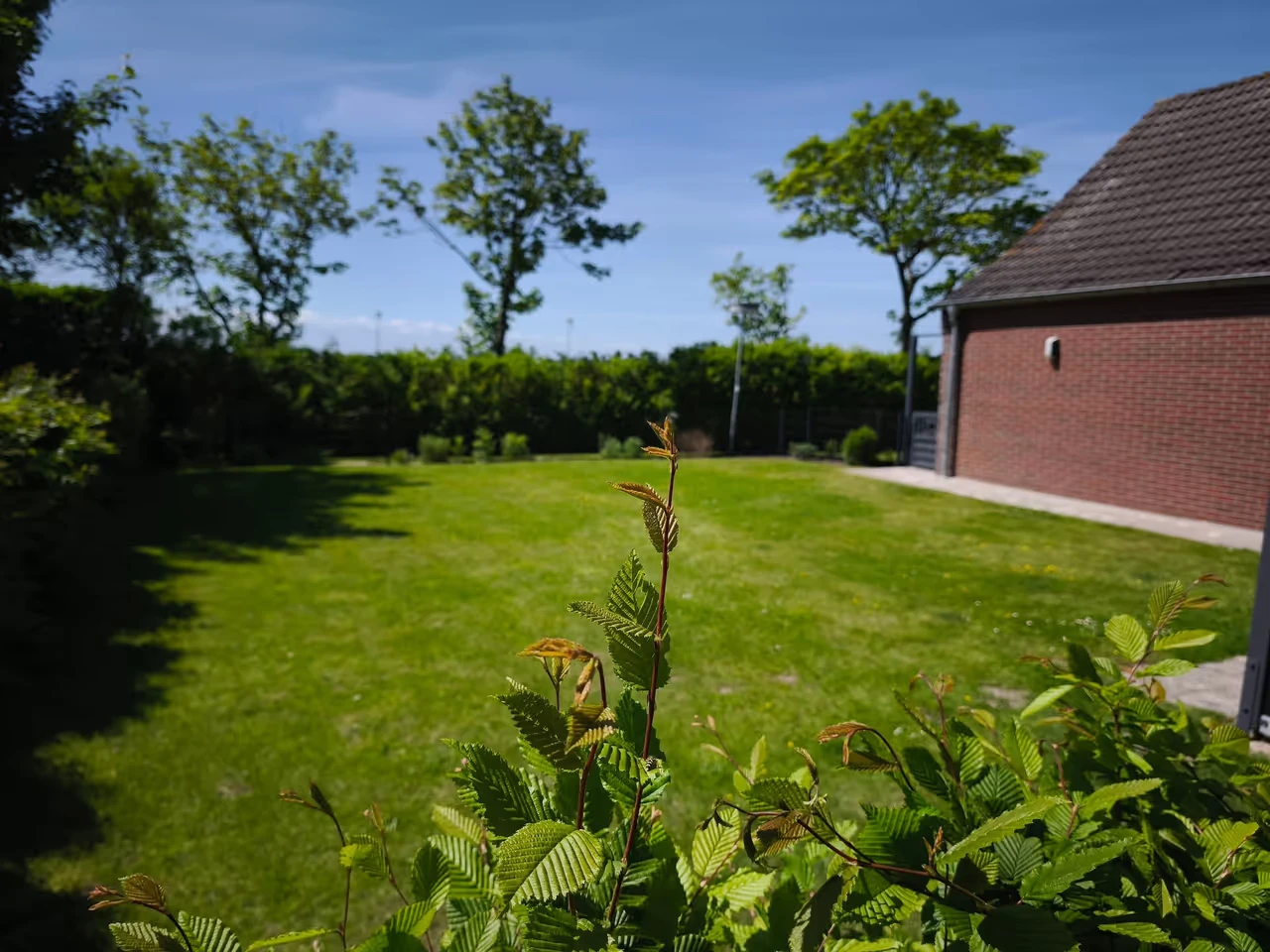 Ferienhaus "Haus Am Deich" mit privatem Garten in Norddeich 5