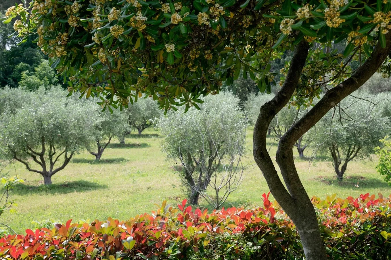Hotel "Les Messugues" bei Saint-Paul-de-Vence 3