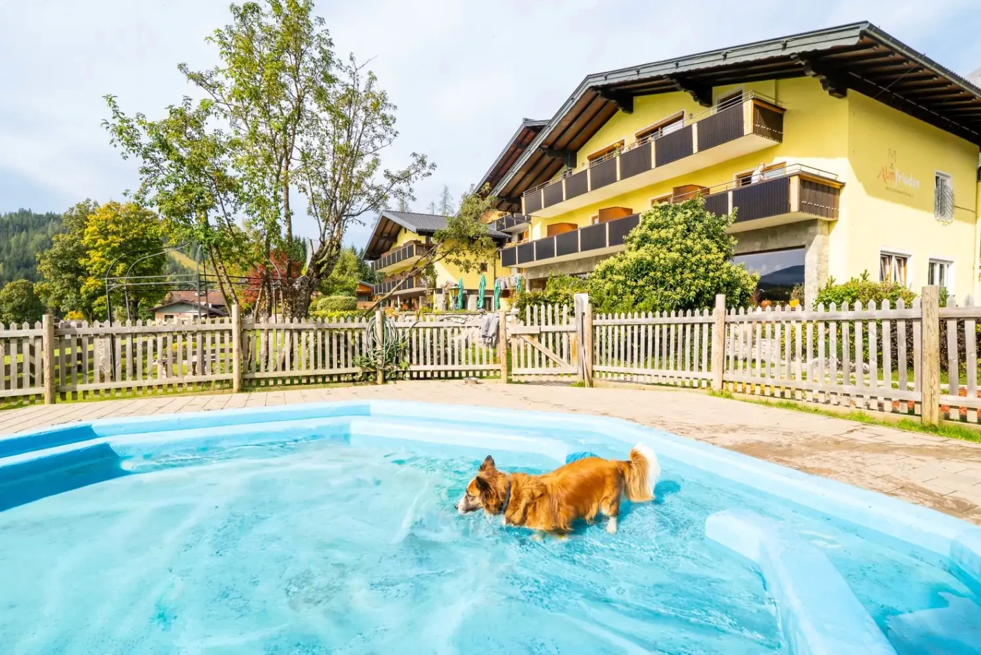 Hundefreundliche Unterkunft: Almfrieden Hotel & Romantikchalet