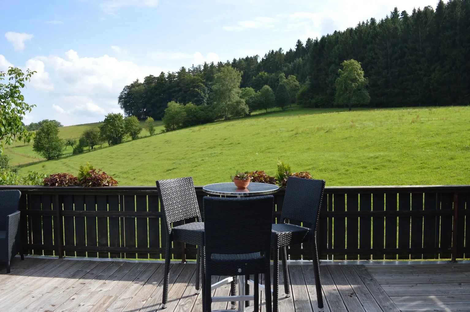 Hotel "Natur & Wander Hotel Gassbachtal" direkt am Wald im Odenwald 2