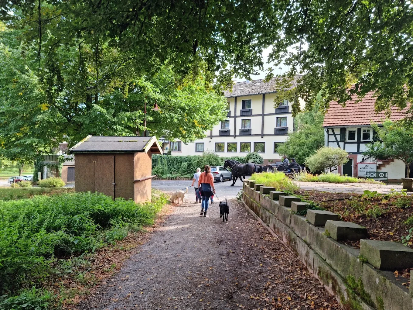 Hotel "Natur & Wander Hotel Gassbachtal" direkt am Wald im Odenwald 4