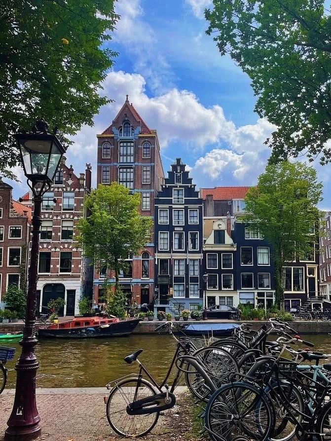 Chalet "EuroParcs Het Amsterdamse Bos Berkel 4" bei Amsterdam 4